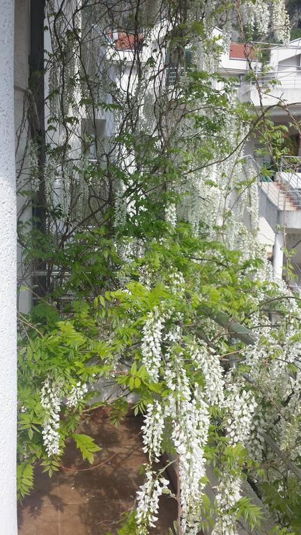 Roman Gardens Studio Apartment Рисан Екстериор снимка